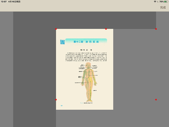 IMG_4863.PNG
