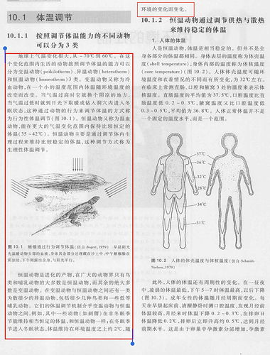 截屏2020-04-07 16.23.06