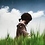 pictureye